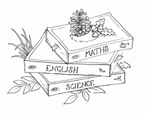 Wilderness Schooling logo